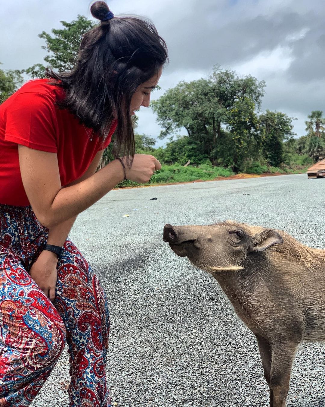 Parc National du Niokolo-Koba