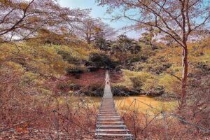 Niokolo-Koba-kedougoutourisme