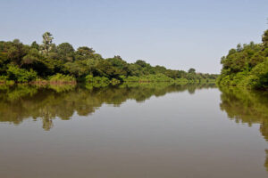 Niokolo-Koba-kedougoutourisme