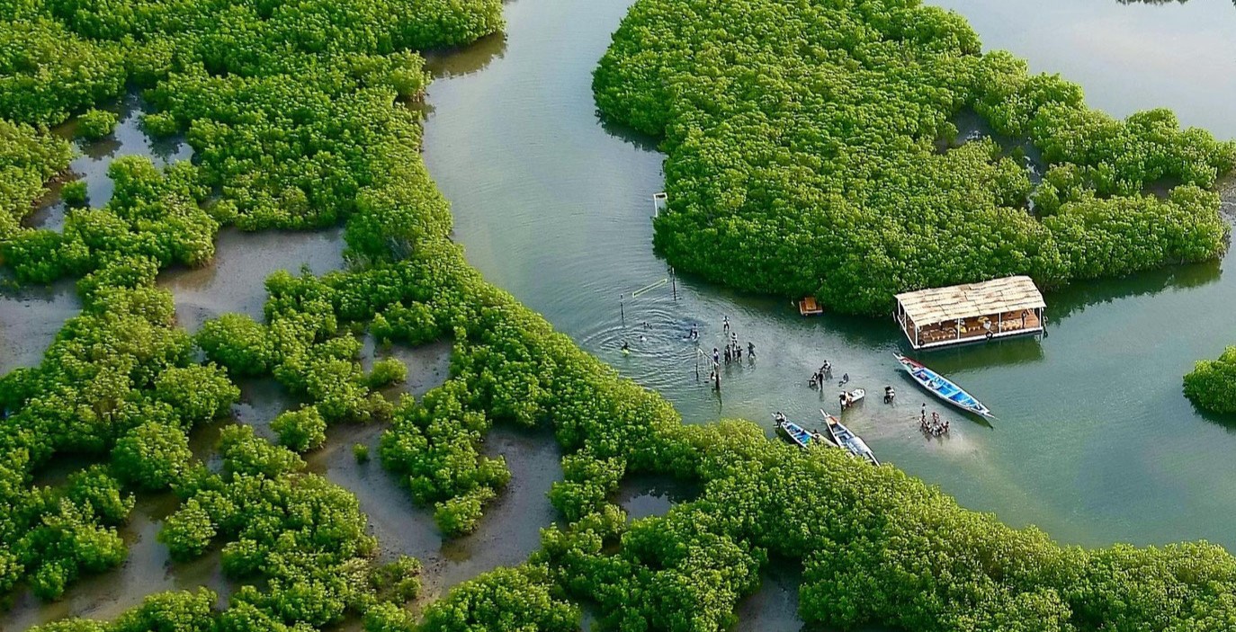 Delta du Sine Saloum