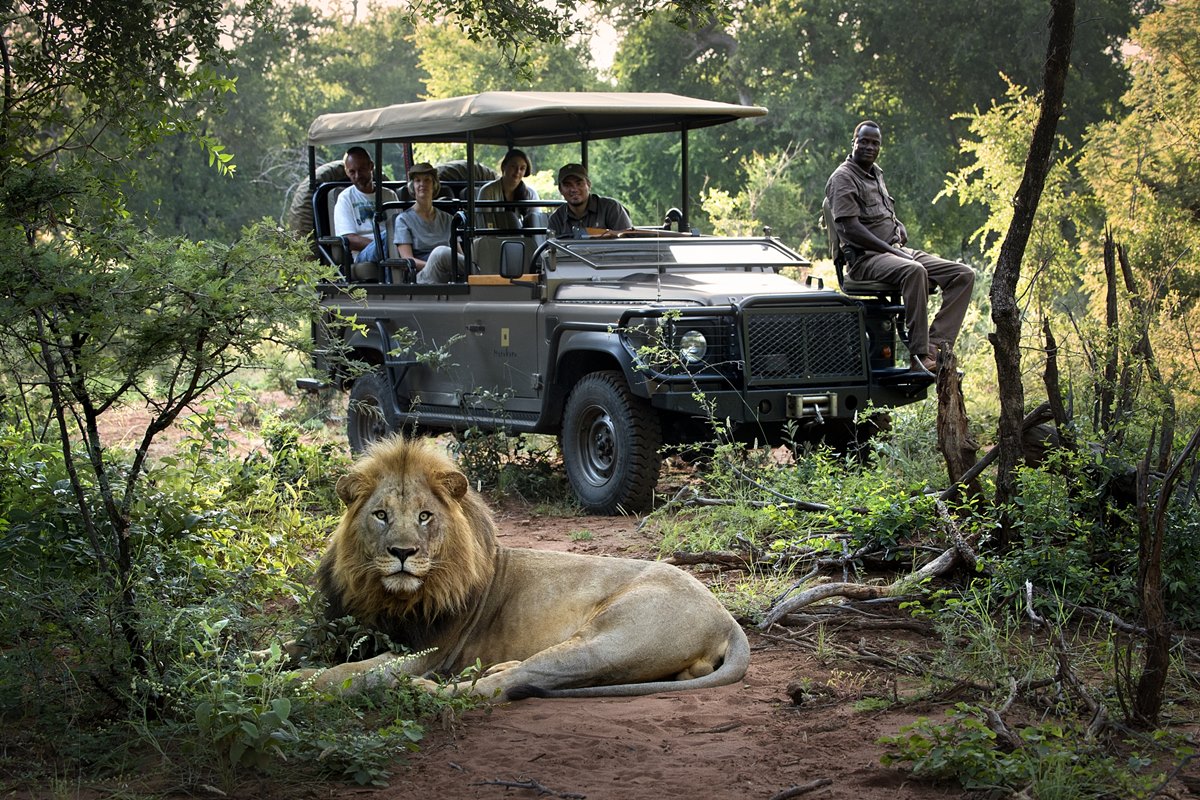 Safari Niokolo-Koba Sénégal