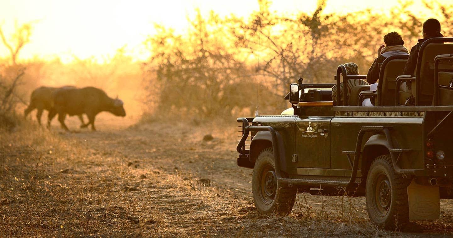 Safari 4x4 pistes intérieures parc Niokolo-Koba Sénégal